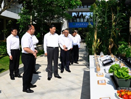 田埂上的叮嘱，习近平对这件事非常重视