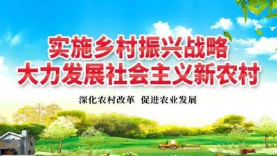 以更有力举措汇聚更强大力量 为乡村振兴提供有力制度保障