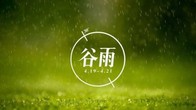 谷雨：感知春的心灵在跳动