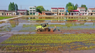 湖南：一犁新雨破春耕 沃野千里仓廪实