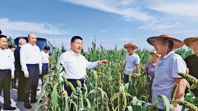 坚持把解决好“三农”问题作为全党工作重中之重 举全党全社会之力推动乡村振兴