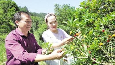 办活产业 点燃乡村振兴“新引擎”