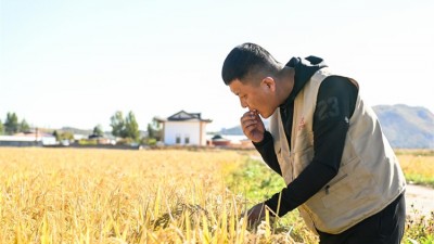 总书记和人民心贴心丨“总书记这句话打开了我的思路”