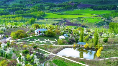 绝美壁画！新疆十万亩野果林花开塞外