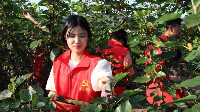 农合联党建助农增收
