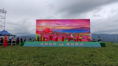 新疆裕民山花节带火乡村旅游