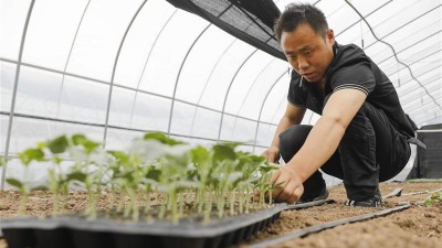 新农人全灵贵：地里淘金底气足
