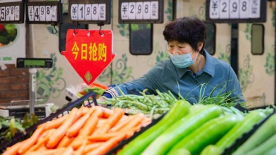 经济形势怎么看？稳就业稳物价如何发力？