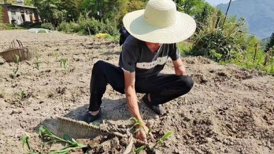 李成友：他用一只手托起“致富梦”