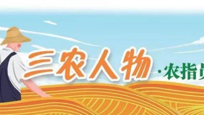 张勇：迅速适应角色，精准解决问题