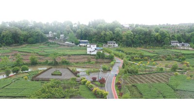 推行村级便民服务全程代办制度近4年，四川省雅安市名山区为群众代办各类服务事项16.8万件 “全程代办”暖心贴心受欢迎