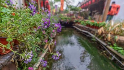 临沂，一个从头到脚都流淌着诗意的城市