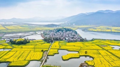 建设宜居宜业美丽乡村—— 权威解读《乡村建设行动实施方案》