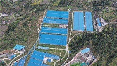 “晴天打伞、雨天收伞”？养猪企业期待“精准纾困”