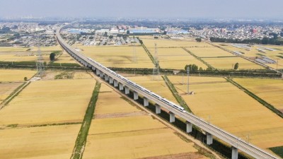 山东临沂：喜看麦熟遍地金