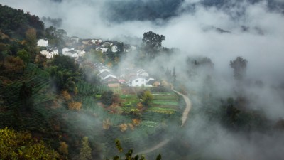 江北镇：以人才振兴促乡村振兴