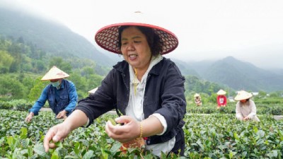 “绿起来”带动“富起来”——大别山区“两山”实践创新基地观察