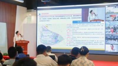 海南举办自贸港重点园区与各省市青年代表对接活动