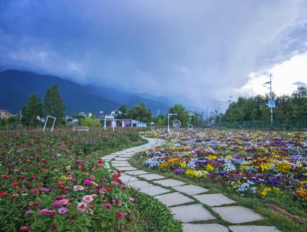 来山西 赏乡村四时好风光