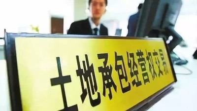 农业农村部：土地承包经营权可在本集体经济组织的农户间转让