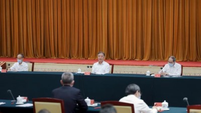 汪洋出席“扎实推动共同富裕”调研协商座谈会
