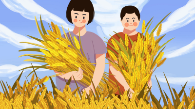 全国麦收进度已近九成 夏播、夏粮收购有序进行