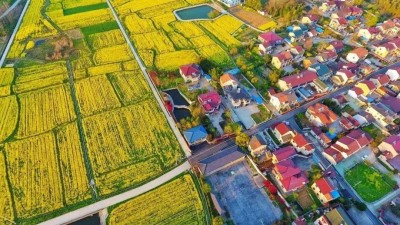 河南西峡：答好乡村振兴的新时代“考卷”