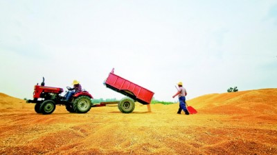 国家粮食和物资储备局：夏粮收购进展顺利