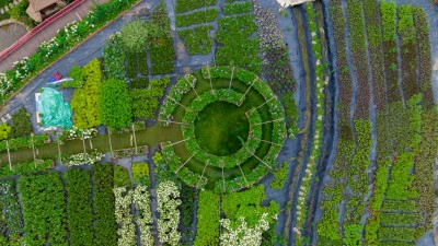 贵阳白云蓬莱村：一路繁花似锦 乡村旅游正当时
