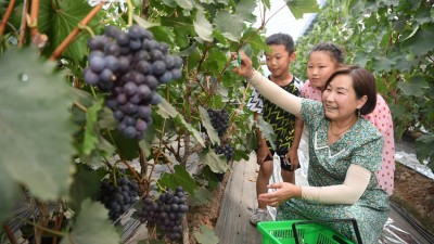 农旅融合绘就乡村振兴美丽画卷