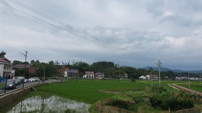 “标准化”一小步，带动城乡治理一大步 ——湖南省衡阳市率先有效探路城乡治理标准化建设