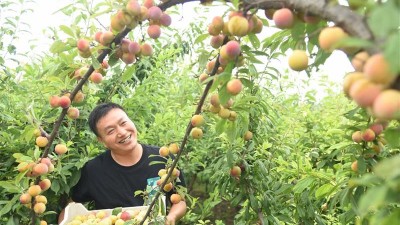 河南杞县：发展特色农业 助力乡村振兴