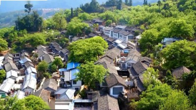 弥渡：改善人居环境 建设绿美乡村
