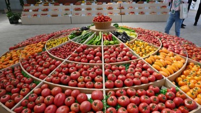 第九届宁夏种业博览会开幕