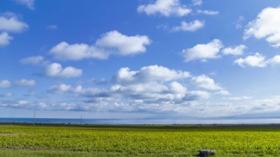 夯实基础 踔厉奋发 在乡村振兴的田野上跑出“加速度”