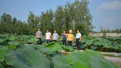 山东莘县：党支部领办“坑塘经济”促振兴