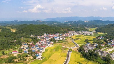 上半年服务进出口总额同比增长21.6%