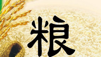 强化粮食安全保障