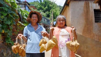 云南玉溪：竹笋破土致富路 村民收入节节高