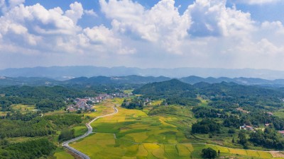 教育部等多部门：引导鼓励高校毕业生到基层建功立业