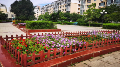文明花开竞芬芳——多地文明城市创建成效观察
