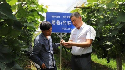 用“一亩田”做好一桌湖南饭