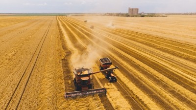 ​秋粮面积稳中有增，大部地区长势好于上年 全年粮食夺取丰收有支撑