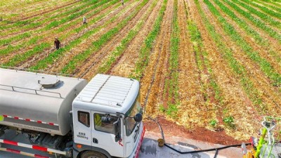 农业农村部：抓实抓细技术指导服务 科学抗旱救灾保秋粮丰收