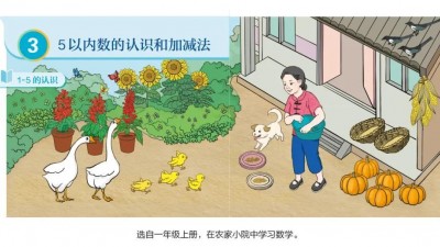 教育部全力做好中小学教材教辅排查整改工作