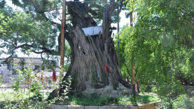 河北邯郸固新村 古朴山乡  岁月悠长