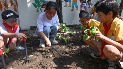 劳动实践教育开启“秋季开学第一课”