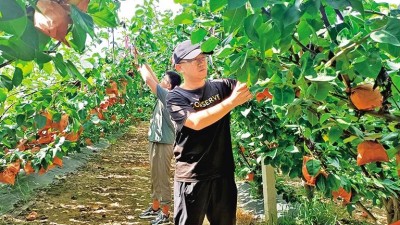 创办种养合作社 推进乡村振兴