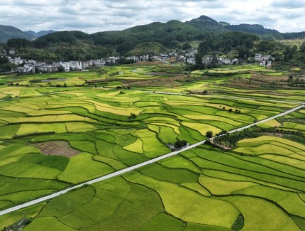 禾丰田园 秀美如画