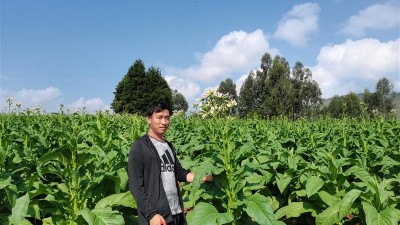 黄陆平：播下致富种 收获致富梦